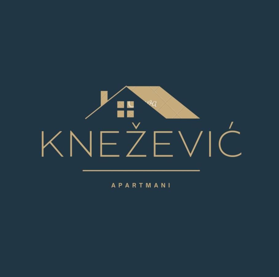 Knezevic Apartman Podgorica Extérieur photo