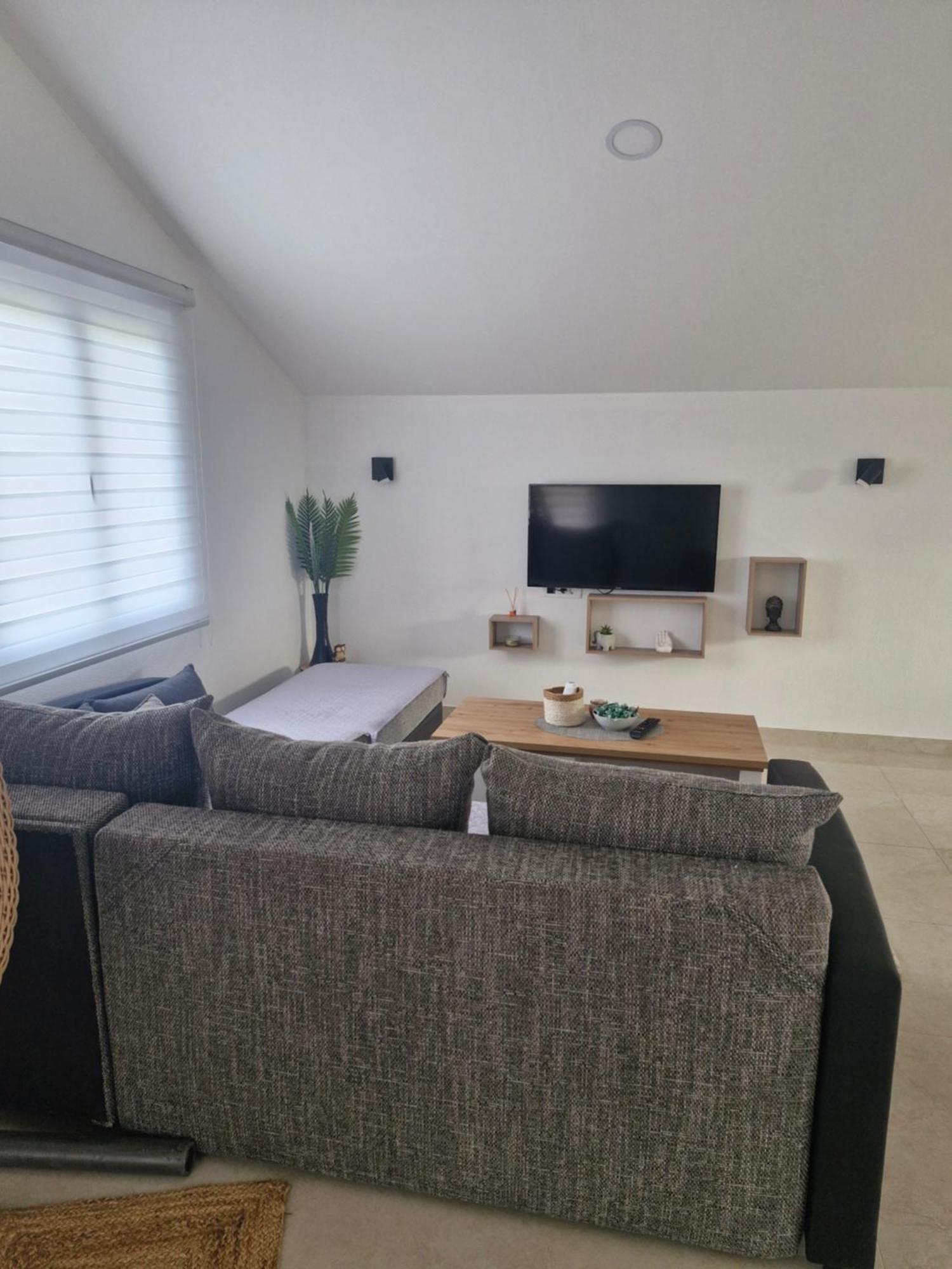 Knezevic Apartman Podgorica Extérieur photo